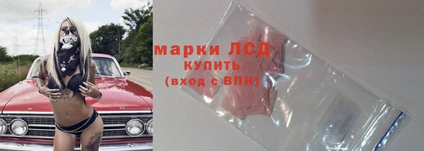 гашик Алзамай