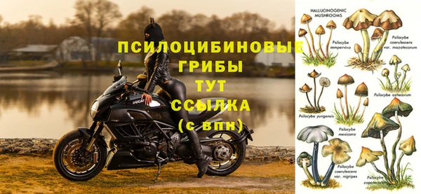 гашик Алзамай