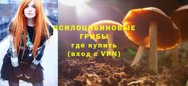 гашик Алзамай