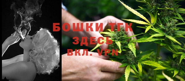 индика Дегтярск