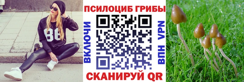 blacksprut как зайти как найти наркотики Вичуга Галлюциногенные грибы ЛСД
