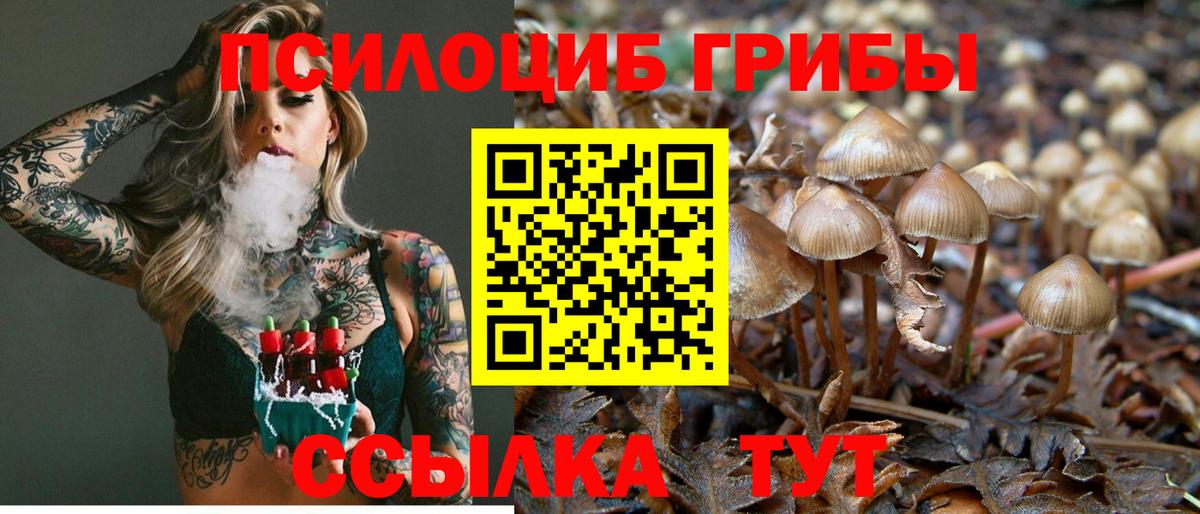 Вичуга  Галлюциногенные грибы Psilocybine cubensis  Вход с VPN 