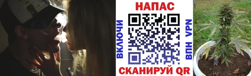 купить наркоту  Вичуга  даркнет телеграм  Марихуана сатива 